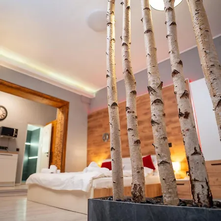 Guest house Barrique Garden Brasov