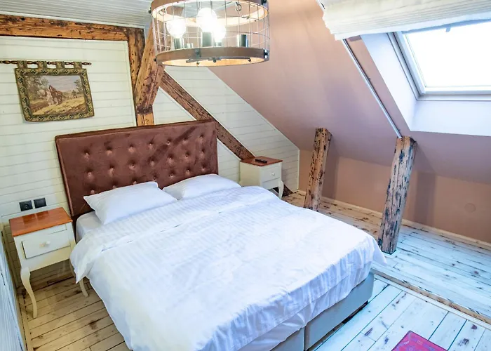 Guest house Barrique Garden Brasov