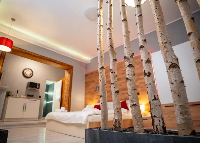 Guest house Barrique Garden Brasov